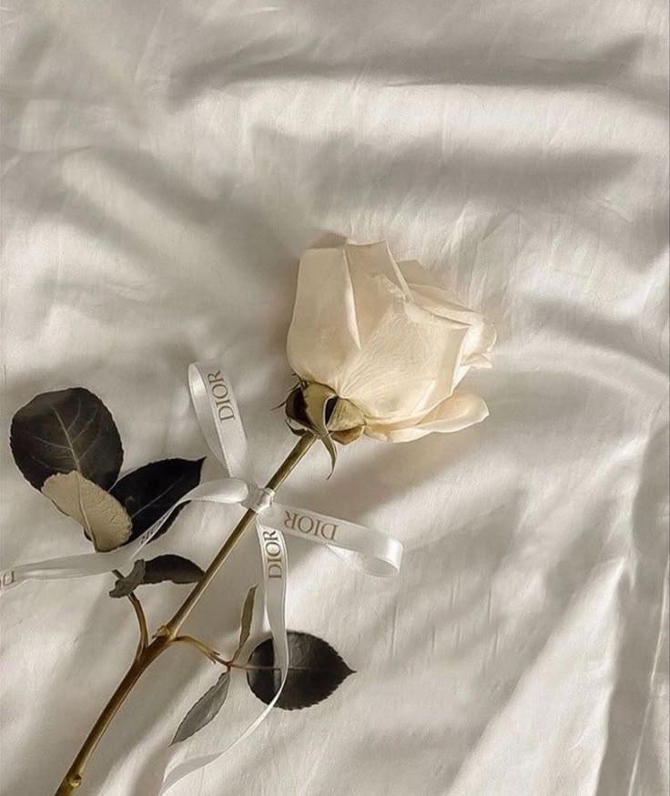 TruePaperGrove workshop space where corporate flower arrangements are designed and prepared for business delivery